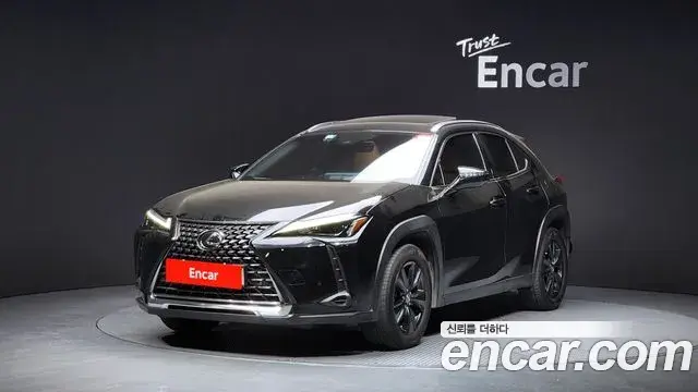 Lexus UX250h 2023 — Şəkil 10/20