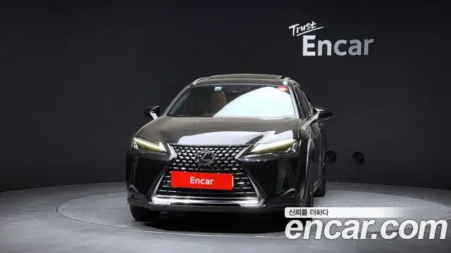 Lexus UX250h 2023 — Şəkil 2/20