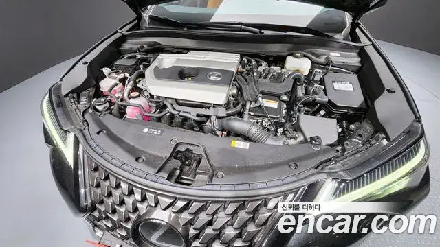Lexus UX250h 2023 — Şəkil 12/20