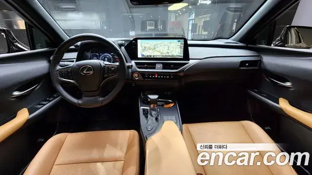 Lexus UX250h 2023 — Şəkil 6/20
