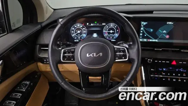Kia Carnival 2022 — ფოტო 5/20