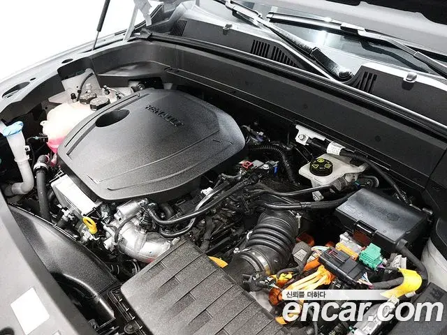 Renault Samsung Grand Koleos 2025 — Фото 19/20