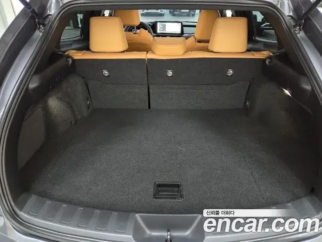 Lexus UX250h 2023 — Şəkil 19/20