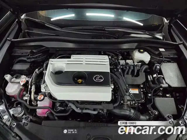 Lexus UX250h 2023 — Şəkil 10/20