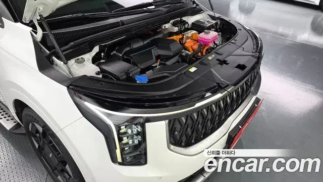 Kia Carnival 2024 — ფოტო 20/20