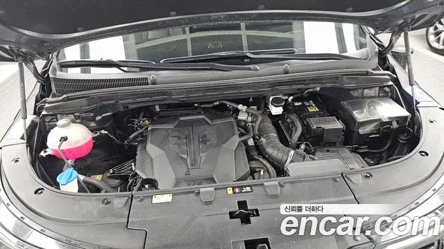 Kia Carnival 2024 — ფოტო 21/39