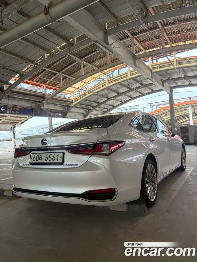 Lexus ES300h 2019 — ფოტო 7/18