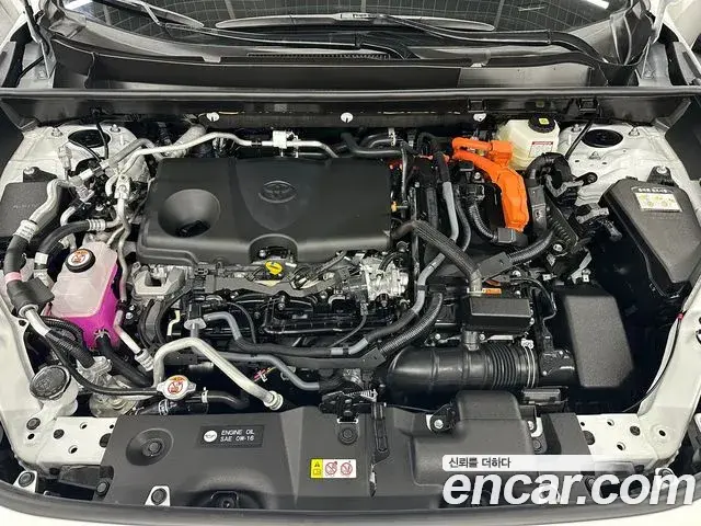 Toyota RAV4 2025 — Photo 10/19