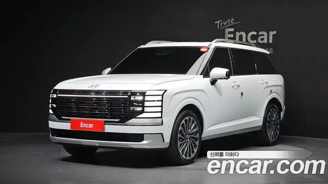 Hyundai Palisade 2025 — ფოტო 19/20