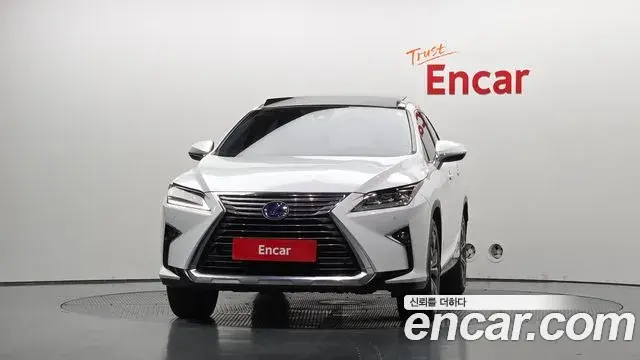 Lexus RX450h 2019 — ფოტო 9/20
