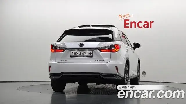 Lexus RX450h 2019 — ფოტო 19/20