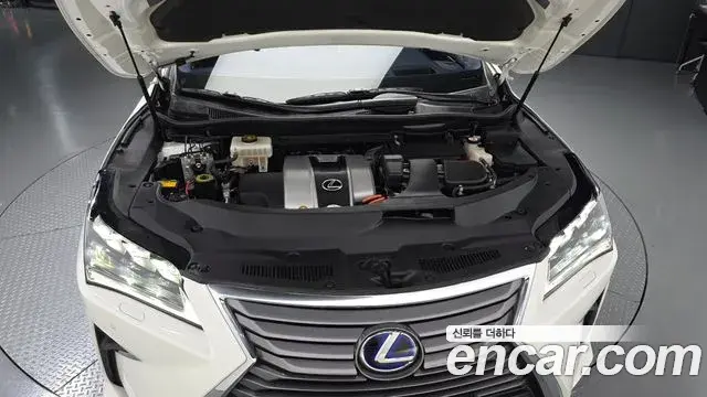 Lexus RX450h 2019 — ფოტო 7/20