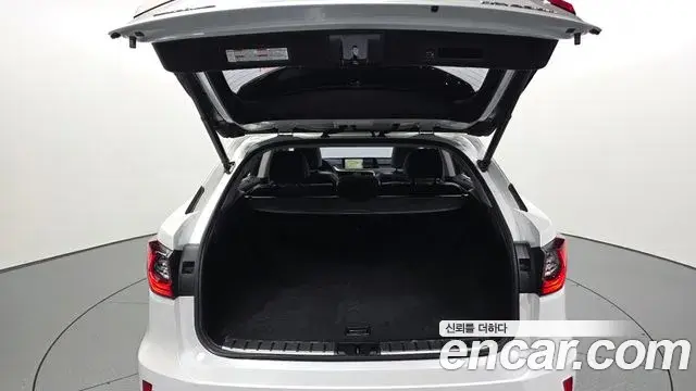 Lexus RX450h 2019 — ფოტო 13/20