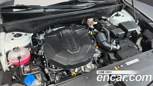 Kia Sorento 2022 — Фото 6/20