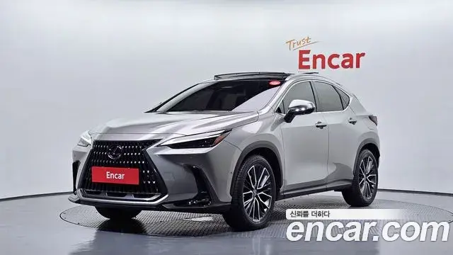 Lexus NX350h 2025 — Şəkil 2/34