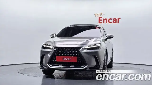 Lexus NX350h 2025 — Şəkil 20/34