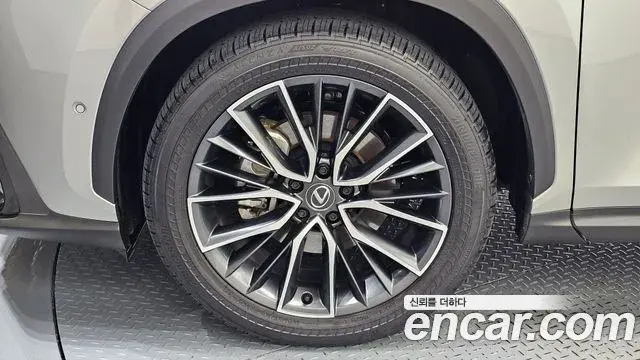 Lexus NX350h 2025 — Şəkil 16/34