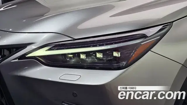 Lexus NX350h 2025 — Şəkil 5/34