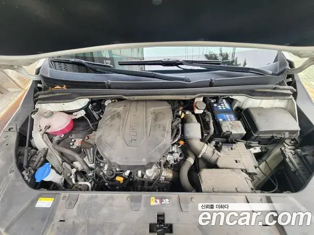 Kia Carnival 2023 — Фото 6/19