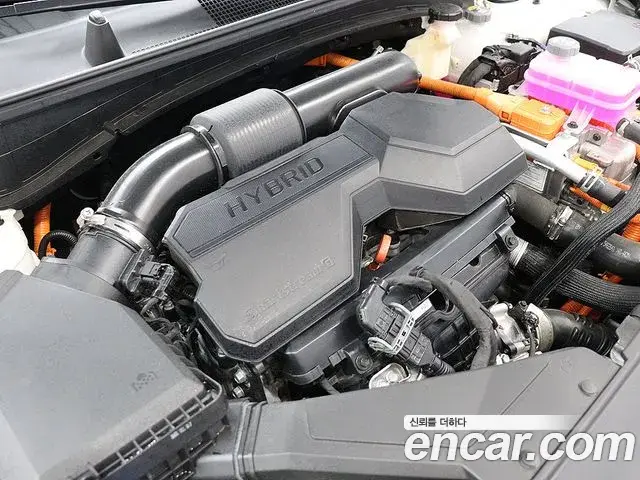 Kia Sportage 2025 — Photo 6/20