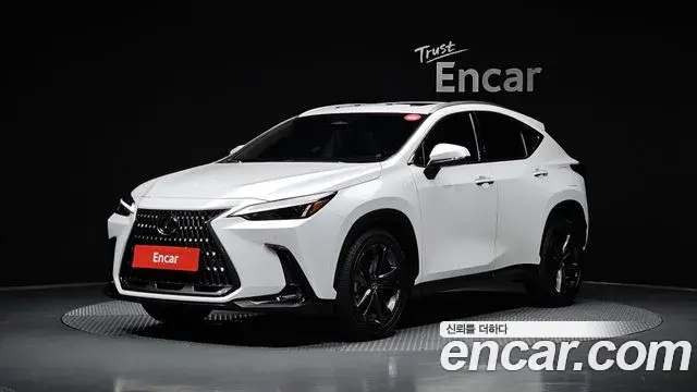 Lexus NX350h 2025 — Фото 20/20