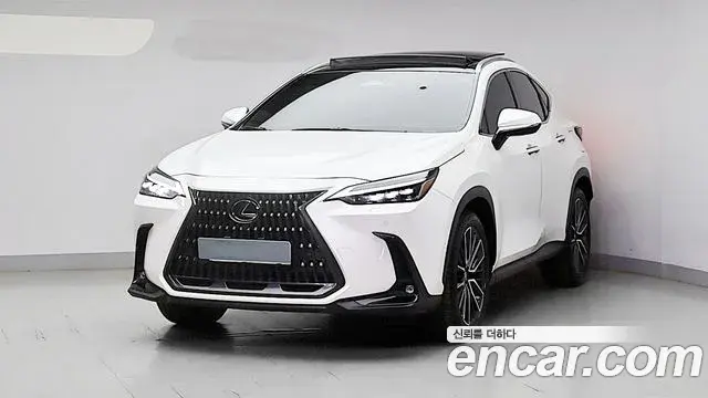 Lexus NX350h 2023 — Photo 9/20