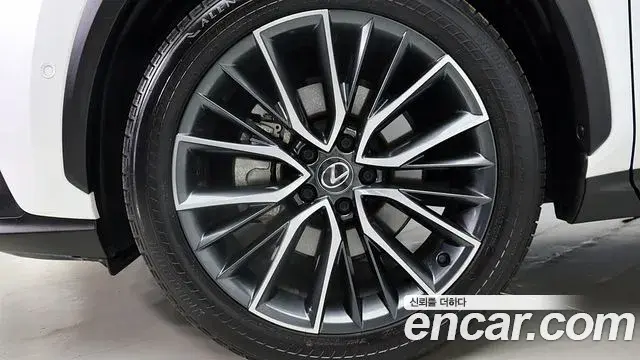 Lexus NX350h 2023 — Photo 4/20
