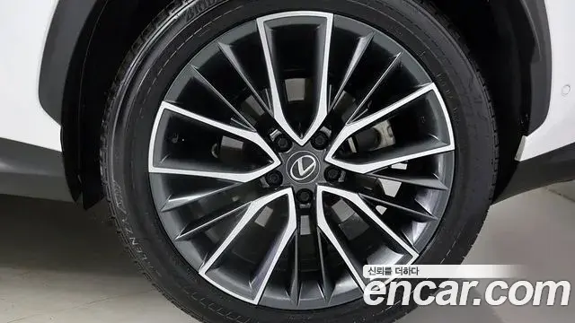 Lexus NX350h 2023 — Photo 5/20