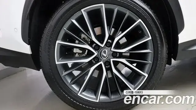 Lexus NX350h 2023 — Photo 10/20
