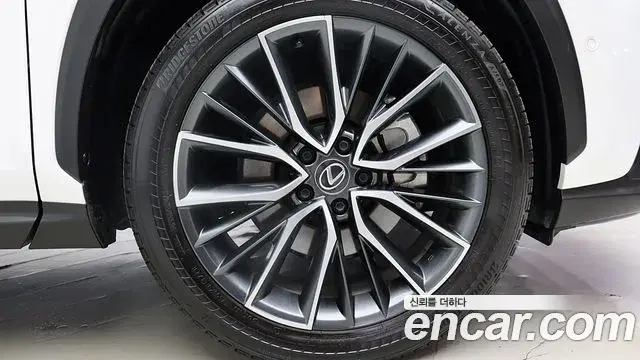 Lexus NX350h 2023 — Photo 6/20