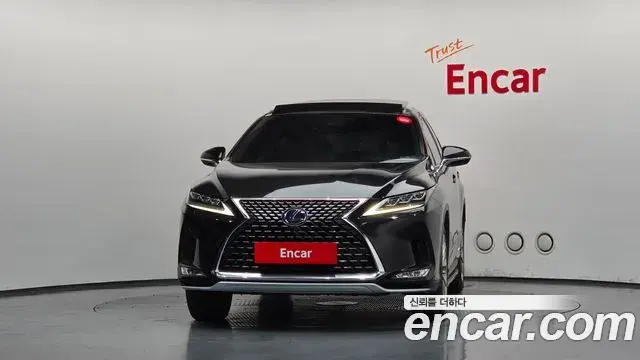 Lexus RX450h 2020 — ფოტო 36/36