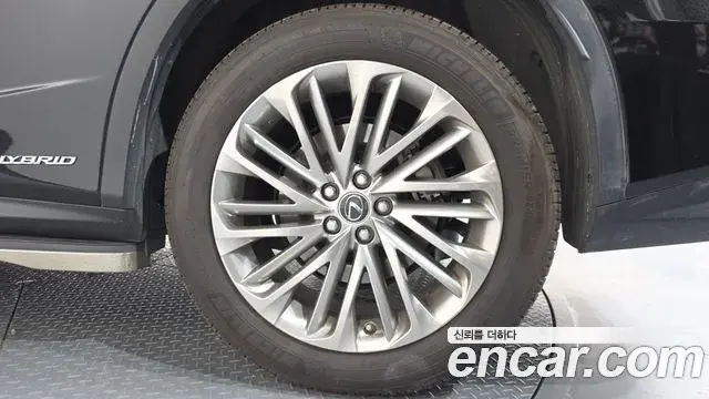 Lexus RX450h 2020 — ფოტო 14/36