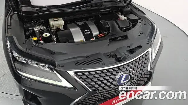 Lexus RX450h 2022 — Фото 6/20