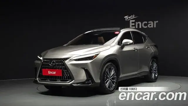Lexus NX350h 2025 — Şəkil 30/42