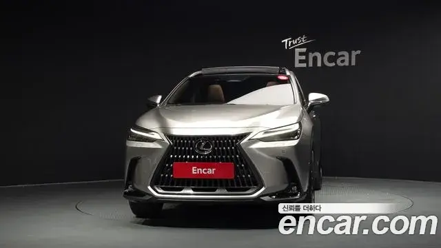 Lexus NX350h 2025 — Şəkil 29/42
