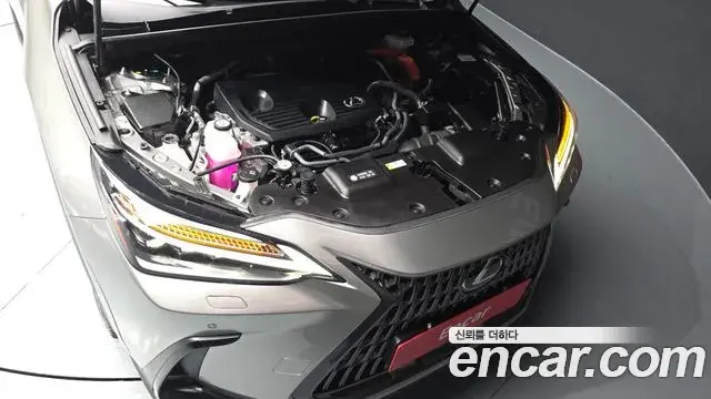 Lexus NX350h 2025 — Şəkil 4/42