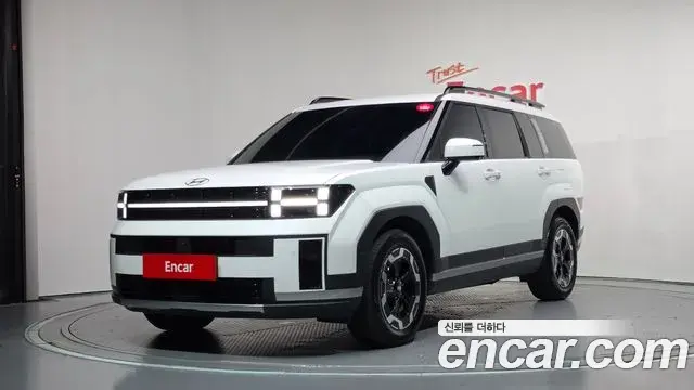 Hyundai Santa Fe 2024 — ფოტო 1/20
