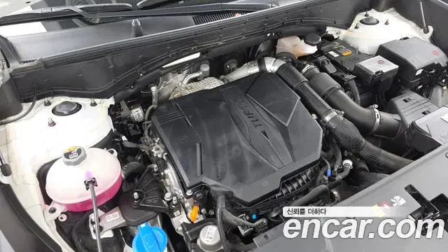 Hyundai Santa Fe 2024 — ფოტო 6/20