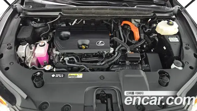Lexus RX350h 2025 — Photo 12/37