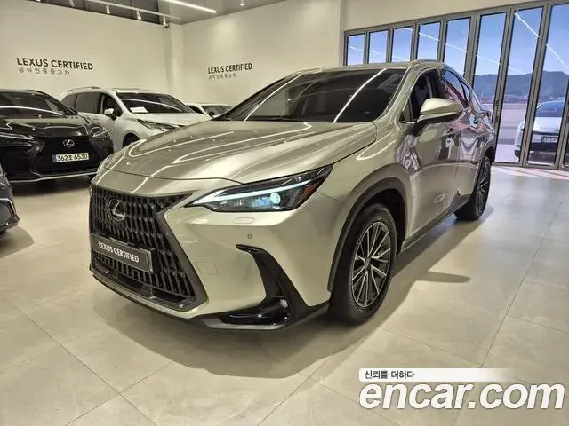 Lexus NX450h+ 2025 — Şəkil 11/20