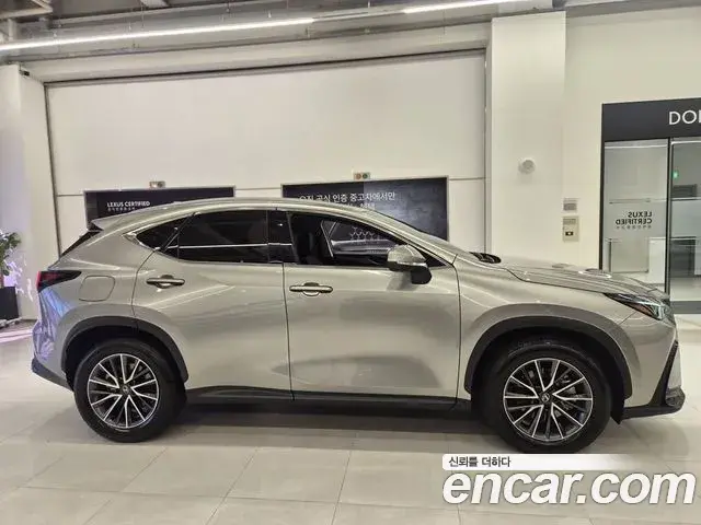 Lexus NX450h+ 2025 — Şəkil 3/20