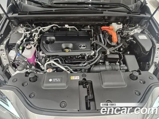 Lexus NX450h+ 2025 — Şəkil 6/20
