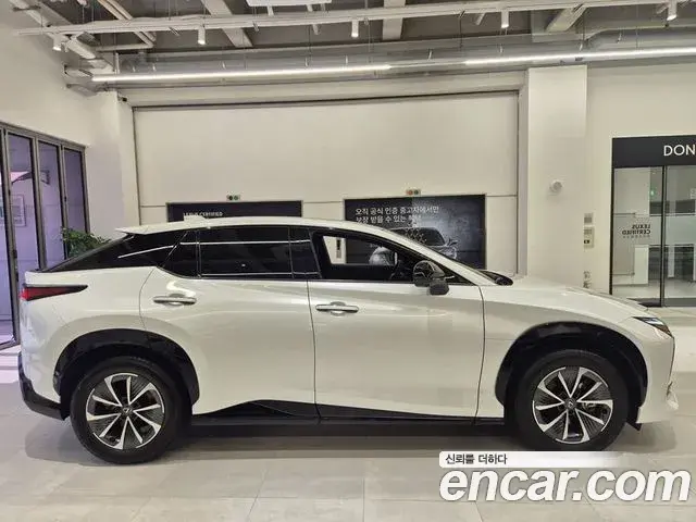 Lexus RZ450e 2023 — Photo 19/20