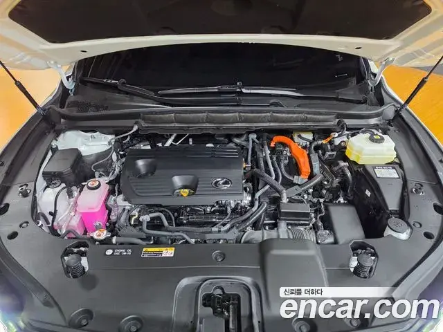 Lexus RX350h 2025 — Photo 7/18
