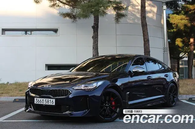 Kia Stinger 2021 — Фото 10/20