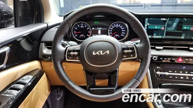 Kia Carnival 2022 — Фото 12/20