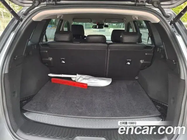 Renault Samsung QM6 2020 — ფოტო 15/20