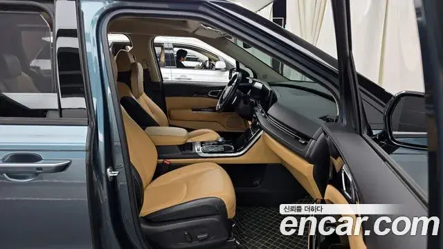 Kia Carnival 2020 — ფოტო 17/20