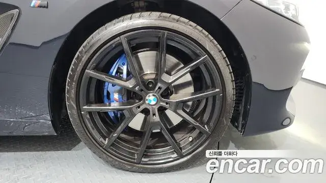 BMW 8 Series 2022 — ფოტო 13/20