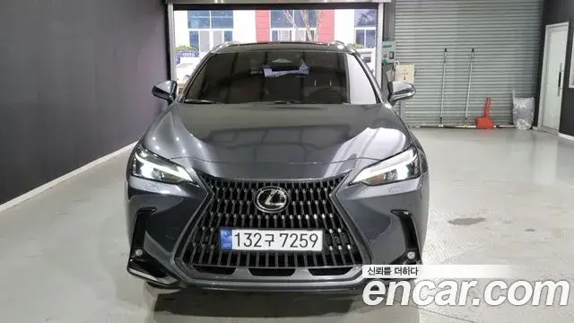 Lexus NX350h 2023 — Photo 17/18